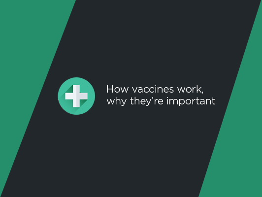 How vaccines work, why they’re important | UPMC Health Plan